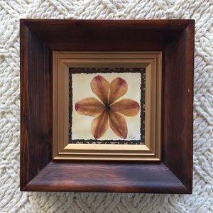 Pressed Flower Framed Wall Art